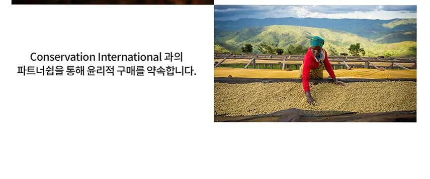 [공식] 스타벅스 파우더커피 100T (다크/미디엄/블론드 선택가능) 상세페이지 26